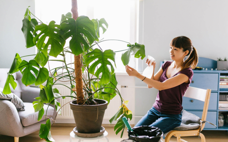 How to Move Plants Safely and Keep Them Thriving
