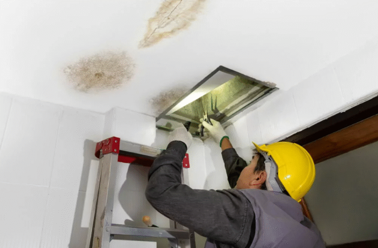 When the Ceiling Drips: What to Do Before Mold Moves In