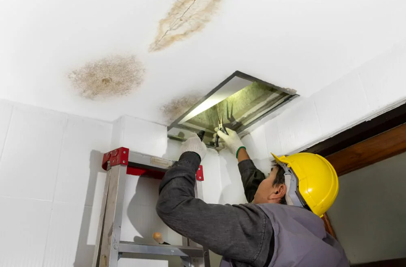 When the Ceiling Drips: What to Do Before Mold Moves In